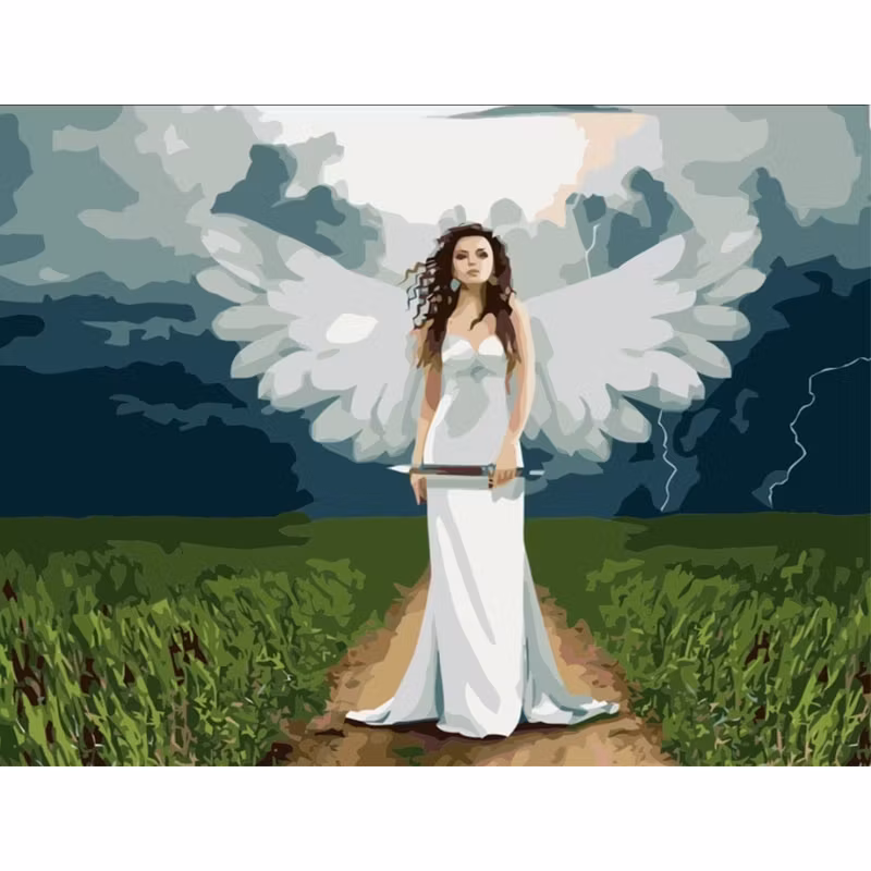 Paint By Numbers Angel 40x50