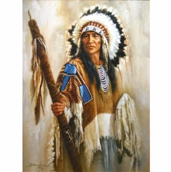 Diamanttavla Indian Med Fjädrar 40x50
