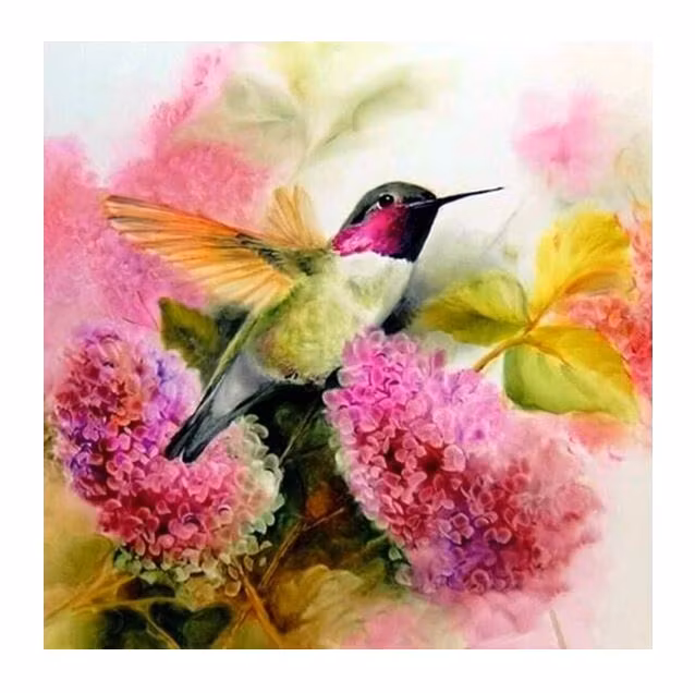 Diamanttavla Kolibri  40x40