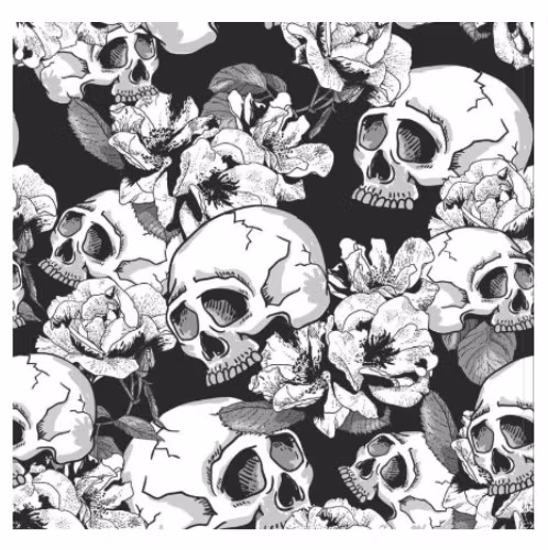 Diamanttavla Skulls Black And White 40x40