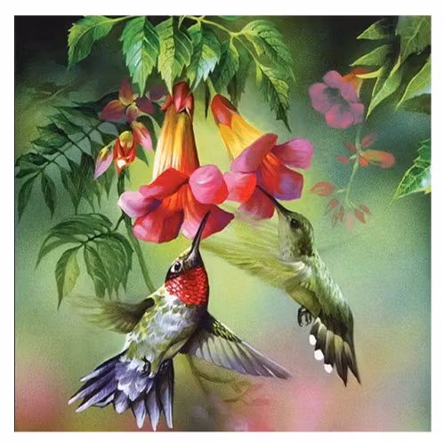 Diamanttavla Hummingbirds 30x30