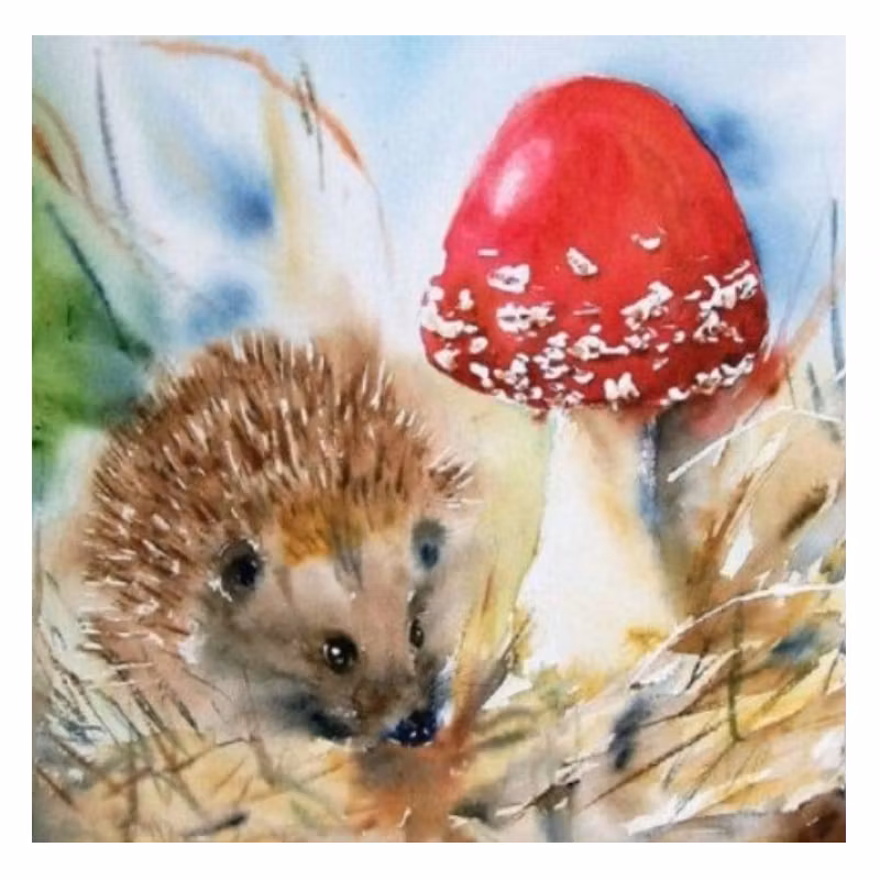 Diamanttavla Igelkott Och Flugsvamp 40x40