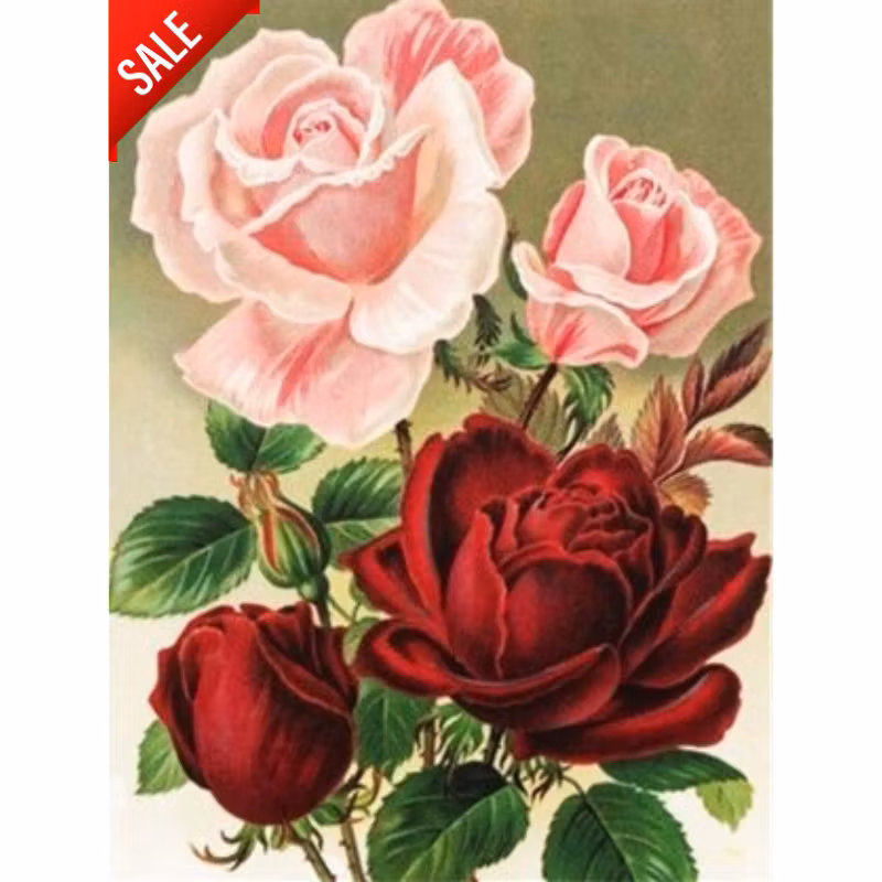 Diamanttavla Röda Och Rosa Rosor 30x40