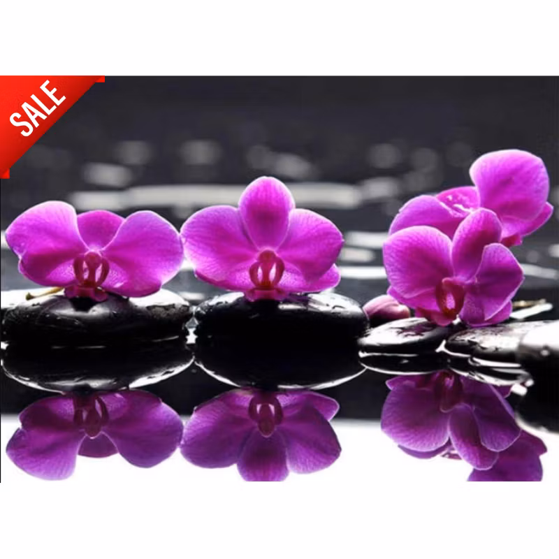 Diamanttavla Orchids Reflection 30x40