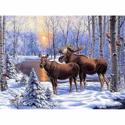 Diamanttavla Älgar Vid Å 40x50