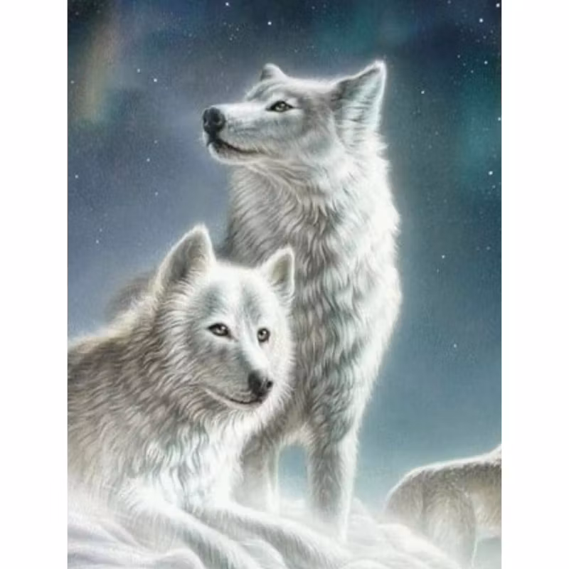 Diamanttavla Vargar 40x50