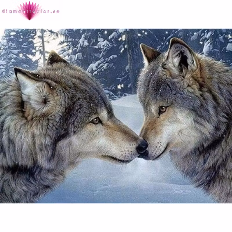 Diamanttavla Vargpar 40x50