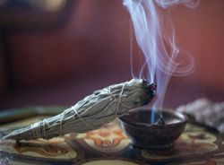 Smudge Stick - Vit Salvia 22,5cm