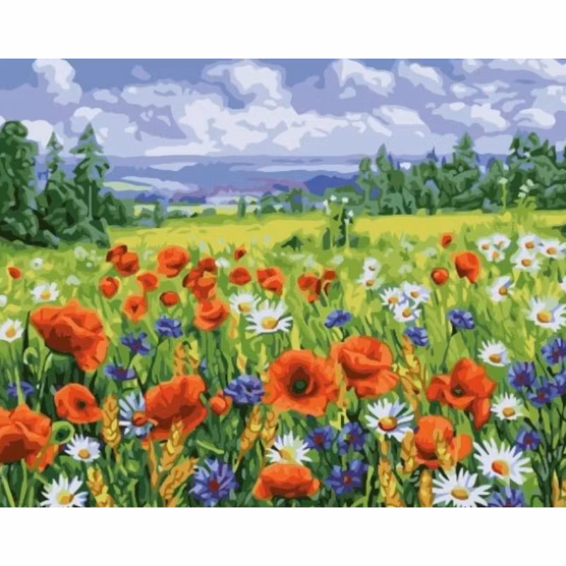 Paint By Numbers Sommaräng 40x50