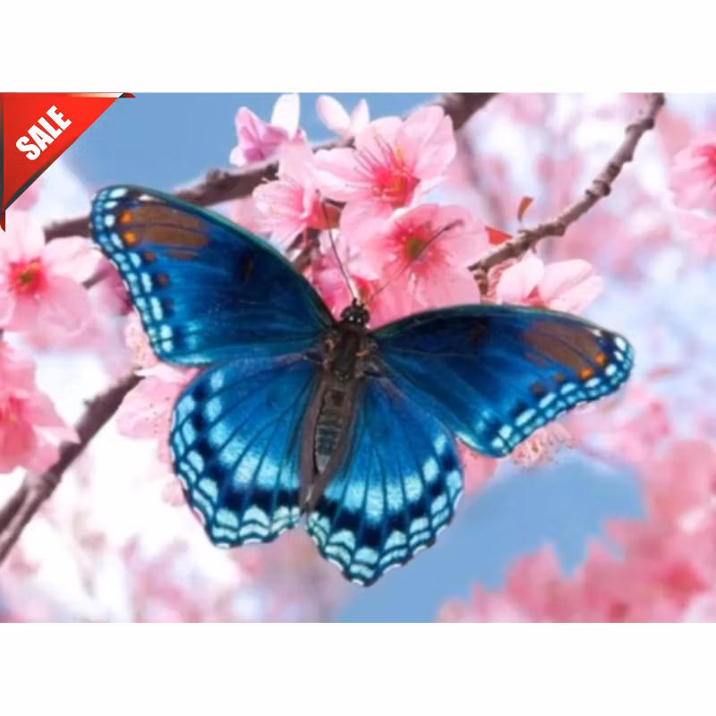Diamanttavla (R) Blå Fjäril 40x50