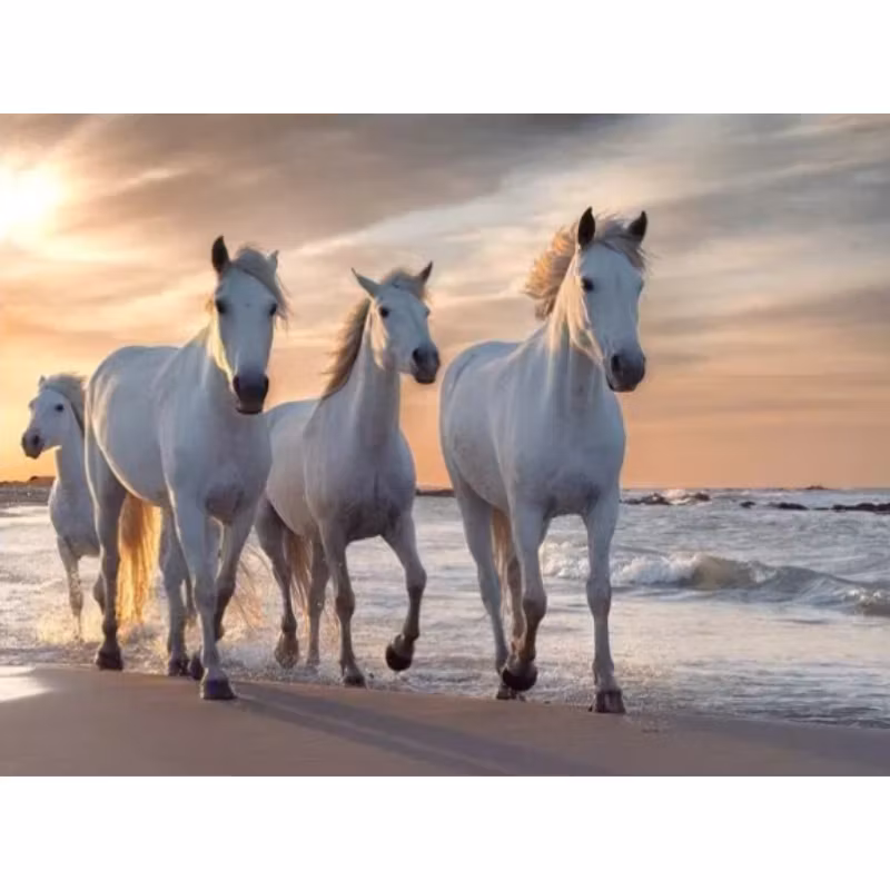 Diamanttavla Hästar På Strand 50x70