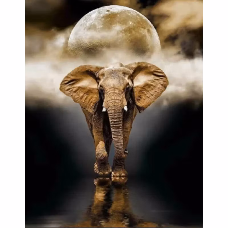 Diamanttavla Elephant Moon 40x50