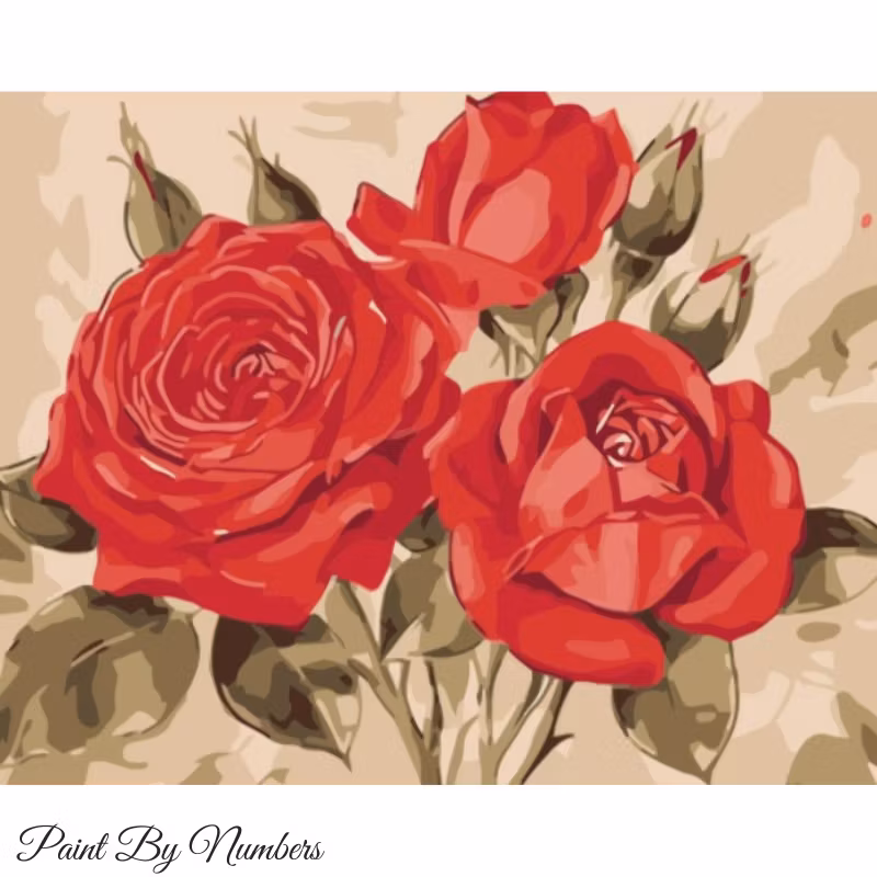 Paint By Numbers Beautiful Red Roses 40x50
