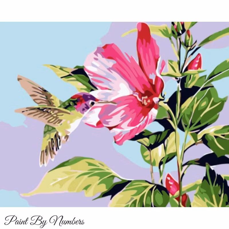 Paint By Numbers Kolibri 40x50