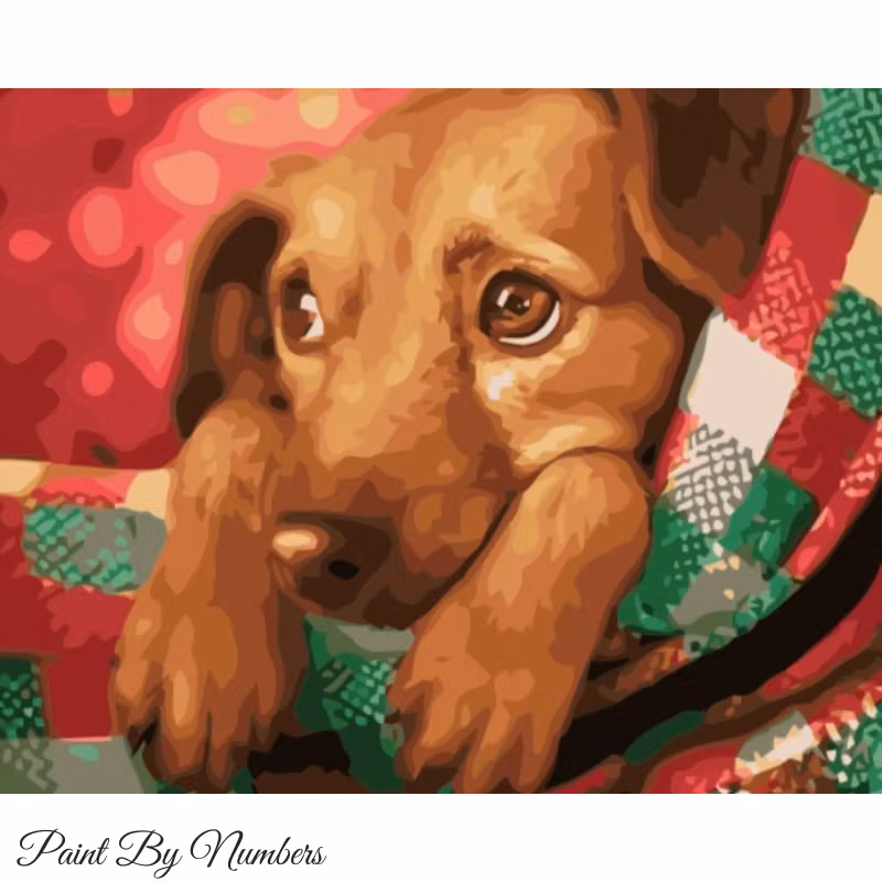 Paint By Numbers Puppy 40x50