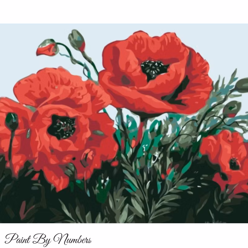 Paint By Numbers Röda Vallmo 40x50