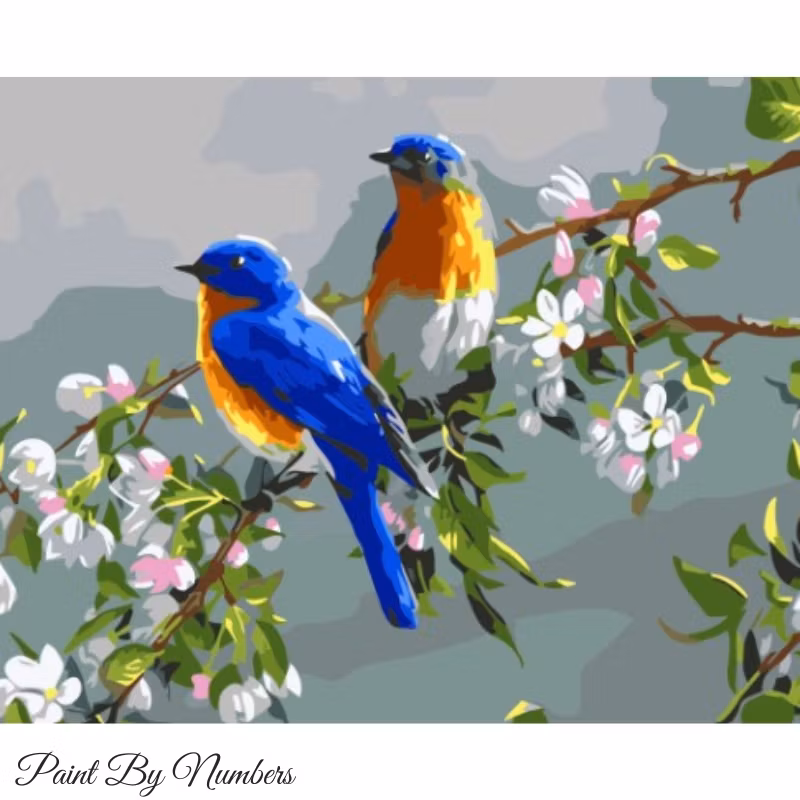 Paint By Numbers Vårfåglar 40x50