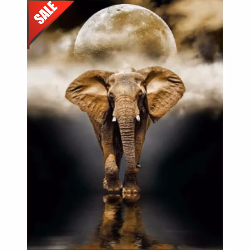 Diamanttavla Elephant Moon 40x50