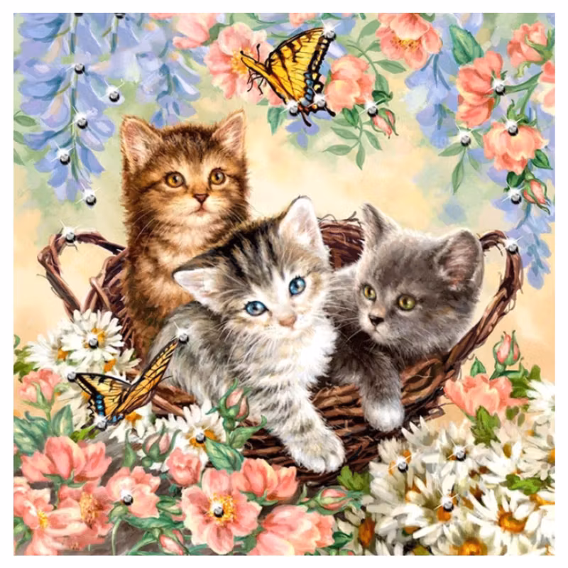 Diamanttavla Flower Kittens 40x40