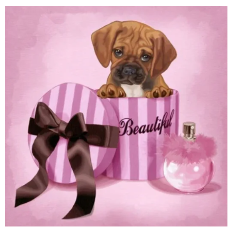 Diamanttavla Puppy In A Box 40x40