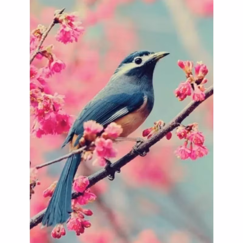 Diamanttavla Bird Pink Flowertree 40x50