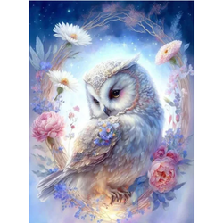 Diamanttavla Petite Chouette 40x50