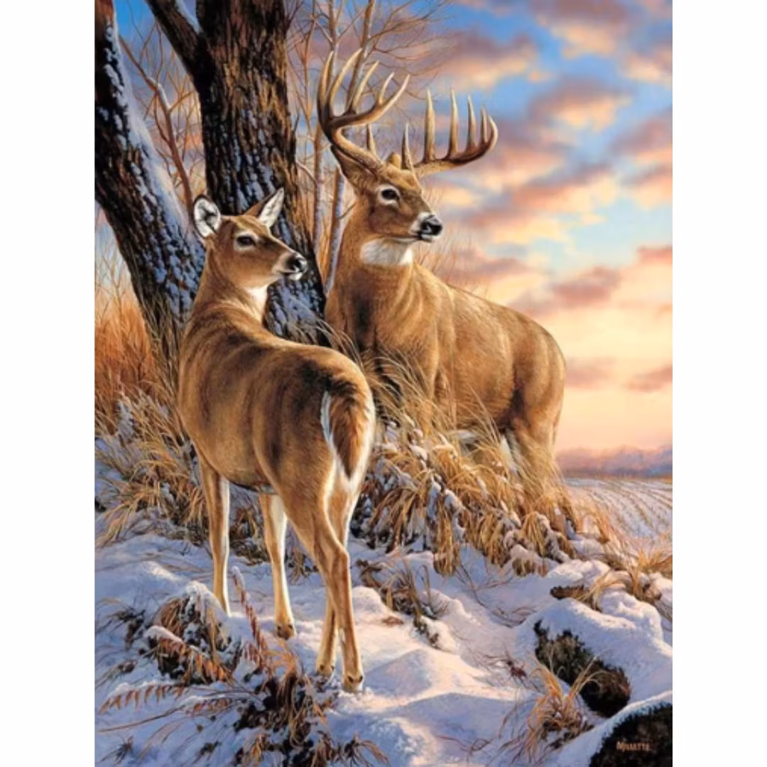 Diamanttavla Deers 40x50