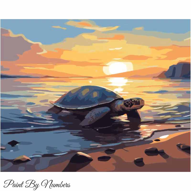 Paint By Number Turtle 40x50