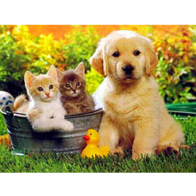 Diamanttavla Puppy And Kittens 40x50