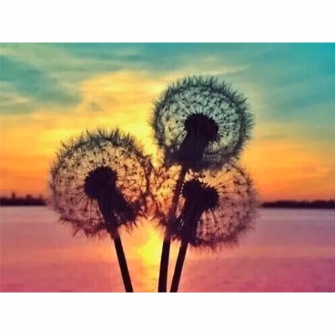Diamanttavla Dandelion Sunset 40x50