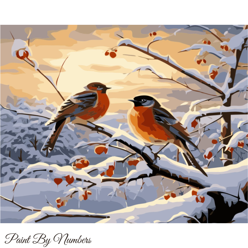 Paint By Numbers Winterbirds 40x50