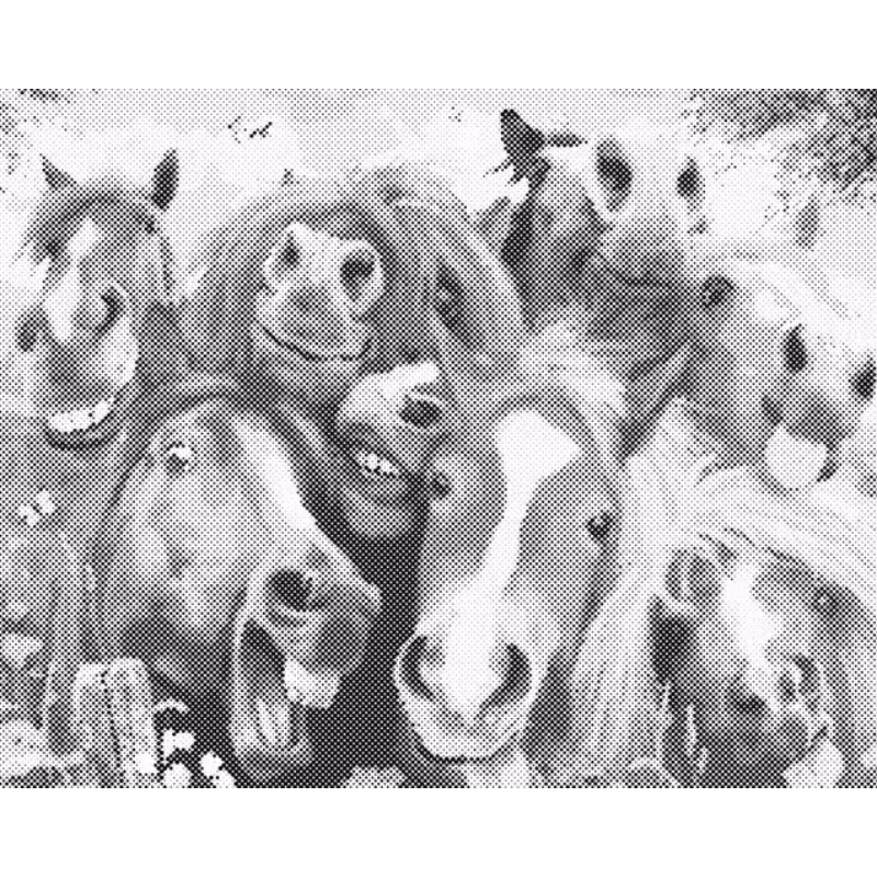 One Color Dot Painting Funny Horses 40x50