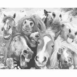 One Color Dot Painting Funny Horses 40x50