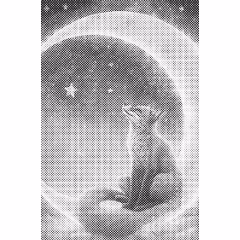 One Color Dot Painting Fox And The Moon 40x60