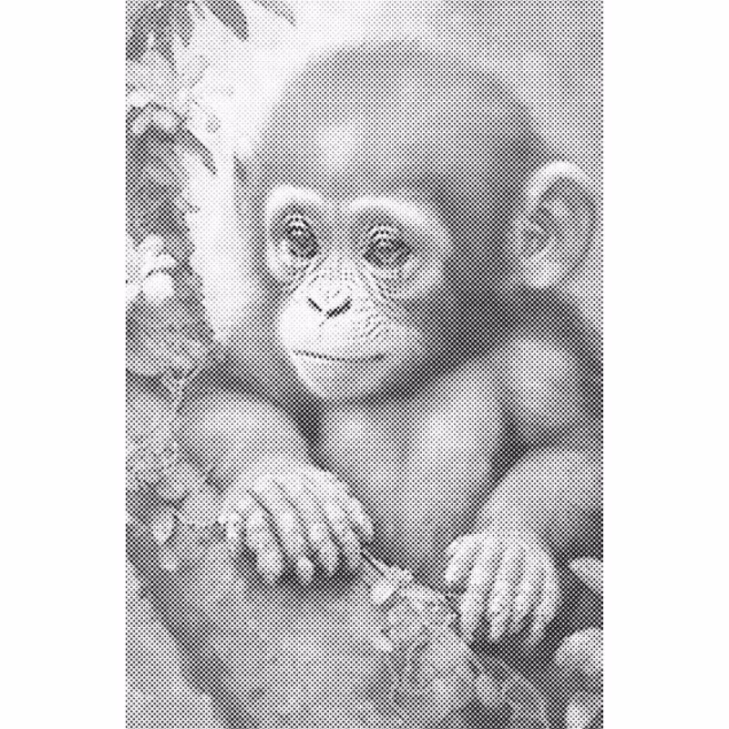 One Color Dot Painting Little Monkey 40x60
