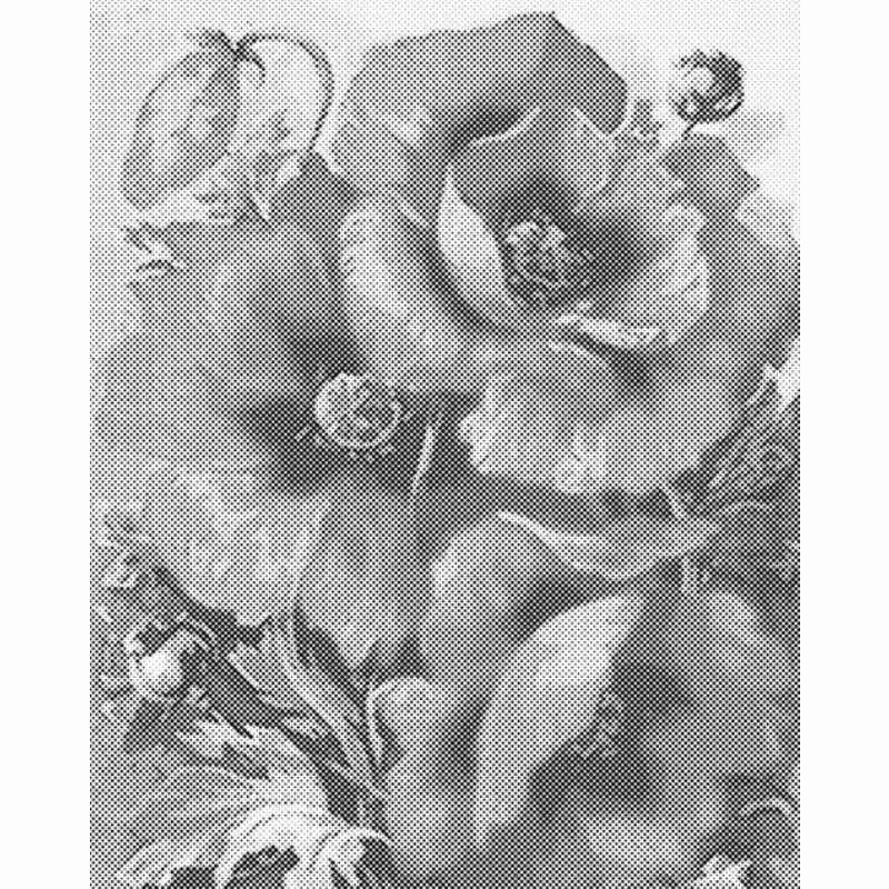 One Color Dot Painting Vallmo 40x50