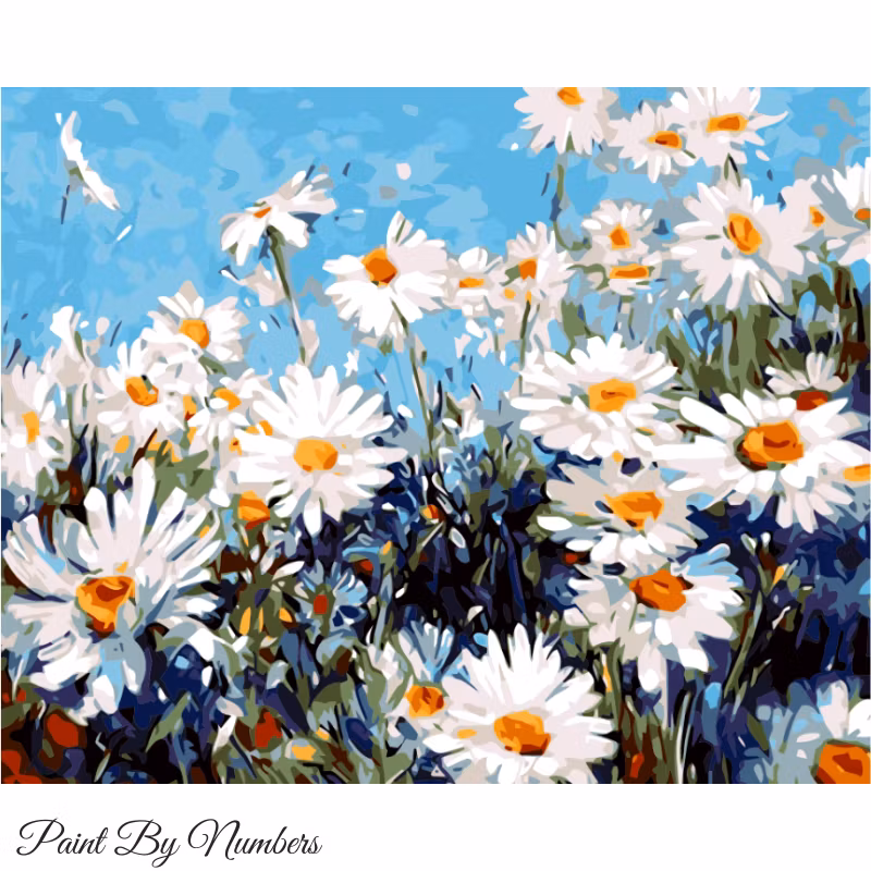 Paint By Numbers Prästkragar 40x50