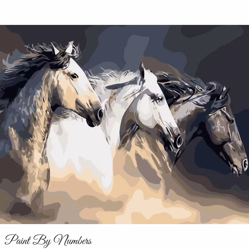 Paint By Numbers Three Horses 40x50