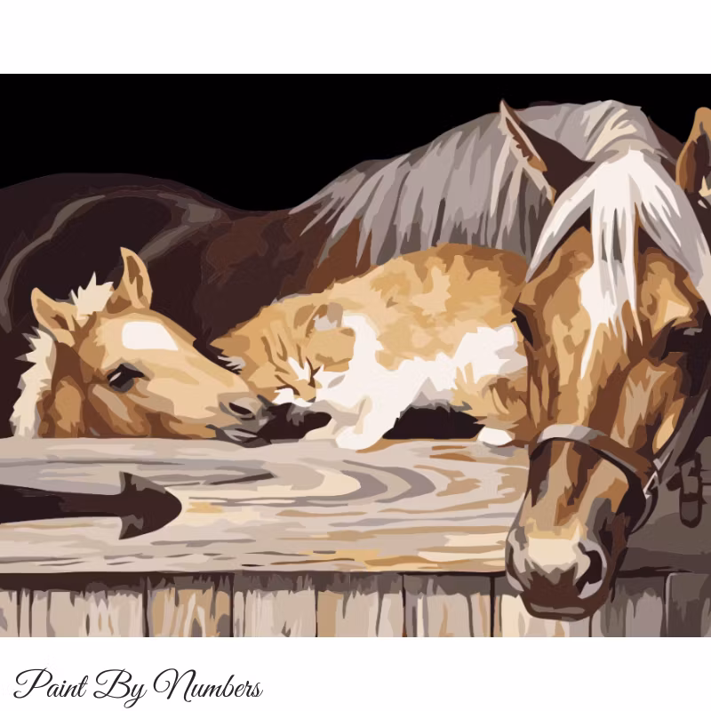 Paint By Numbers Stallmys 40x50