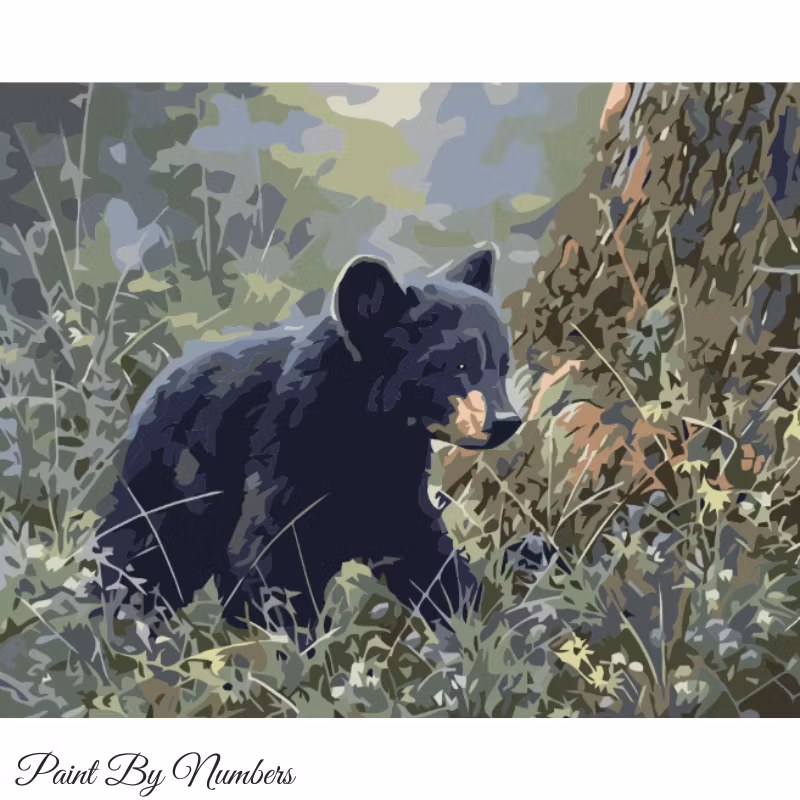 Paint By Numbers Baby Bear 40x50