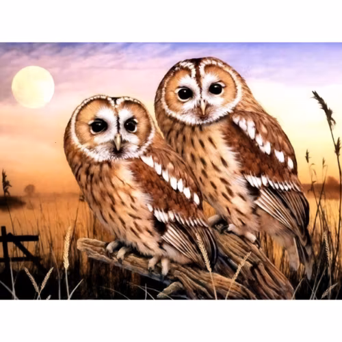 Diamanttavla Ugglor 40x50