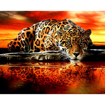 Diamanttavla Leopard I Solnedgång 40x50