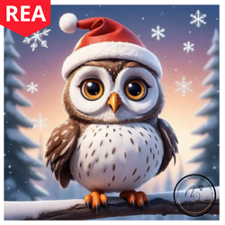 Diamanttavla Christmas Owl 30x30 - REA