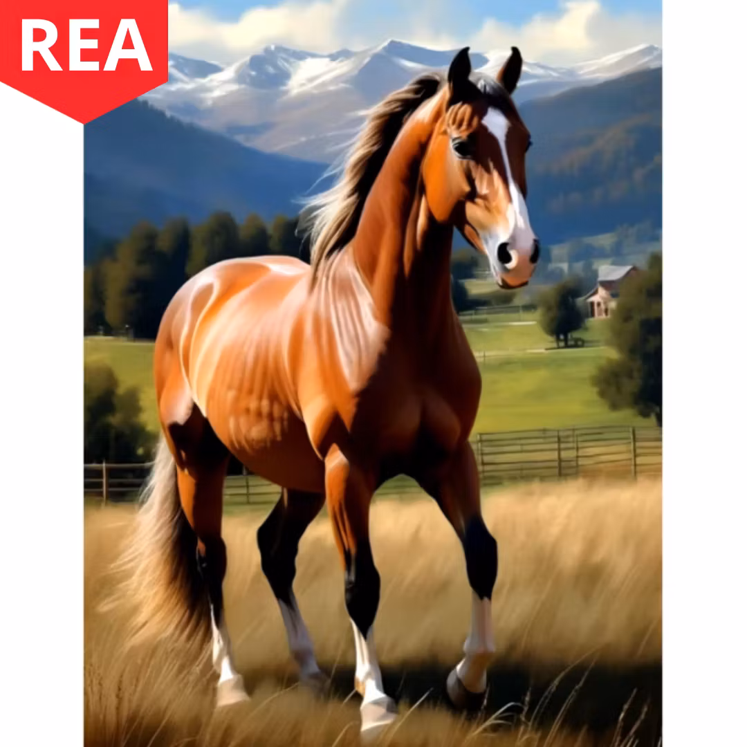 Diamanttavla Brun Häst 40x50 - REA