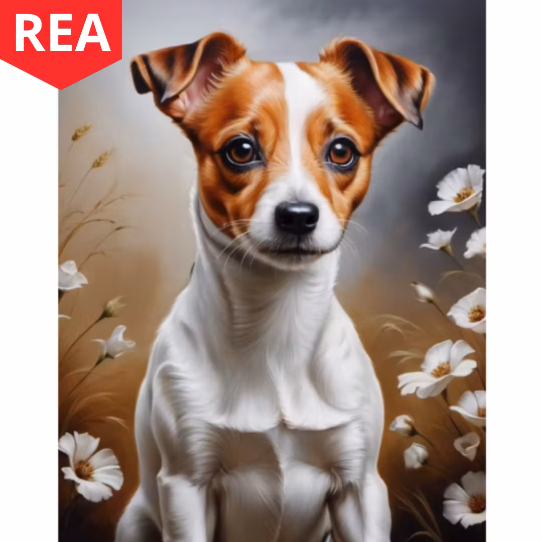 Diamanttavla Jack Russel 40x50 - REA