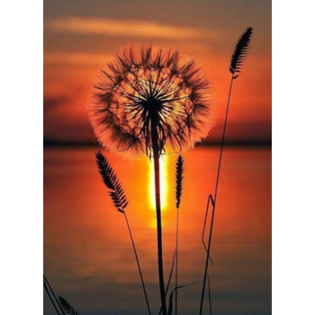 Diamanttavla Dandelion Sunset Light 20x30