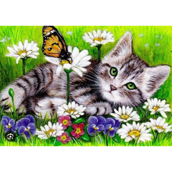 Diamanttavla Katt Och Fjäril Sommaräng 20x30