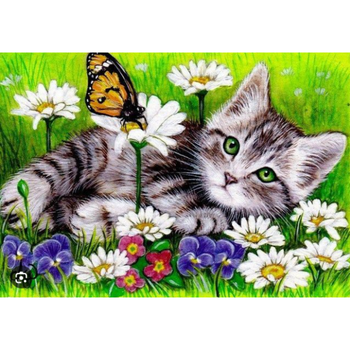 Diamanttavla Katt Och Fjäril Sommaräng 20x30