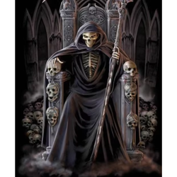 Diamanttavla Skull King 40x50