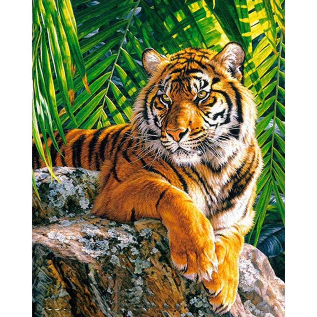 Diamanttavla Tiger 40x50